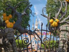 -上海迪士尼度假区