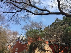 -乌山风景区