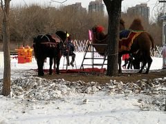 -北京亚布洛尼朝阳公园滑雪场
