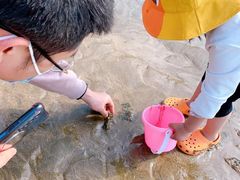 -东海半边山旅游度假区