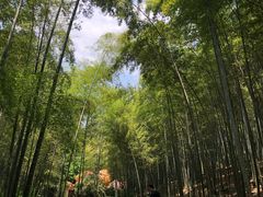 -天目湖山水园