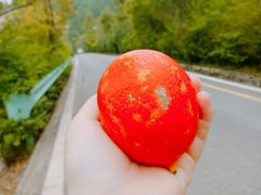 -成都濑川外国语学校