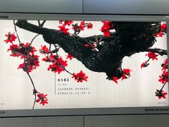 -烈士陵园(地铁站)