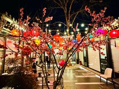 包房-花家怡园(四合院总店)