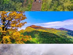-瓦屋山景区