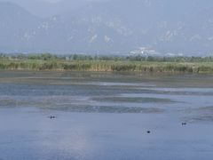 -野鸭湖国家湿地公园