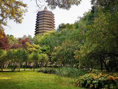 -玲珑塔公园