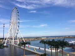 -秦皇岛乐岛海洋王国