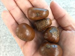 -方林富炒货店(武林路店)
