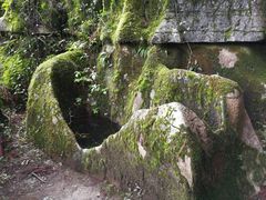 景点-山王坪喀斯特国家生态公园
