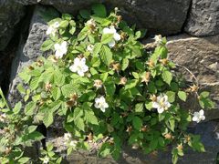 -宁波五龙潭景区