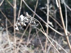 -静之湖湖畔餐厅