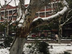 -海马体照相馆(龙湖杭州金沙天街店)