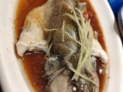 清蒸鲈鱼-九头鸟酒家(四道口店)