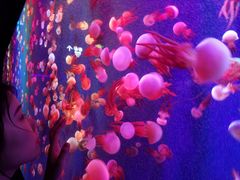 -成都浩海立方海洋公园