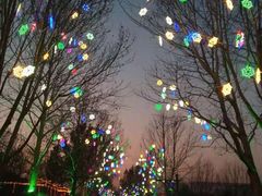 -南宫五洲植物乐园