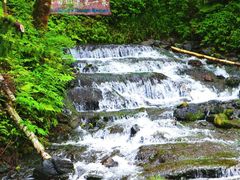 -峡谷浮石林景区
