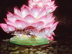 -广西壮族自治区药用植物园