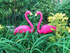 -大东方海鲜酒楼(小武基桥店)