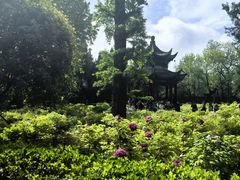-洛阳白马寺