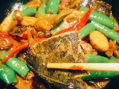 口味甲鱼-湘里乡亲甲王二老店