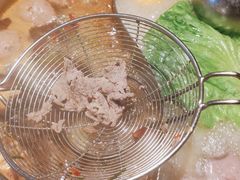 -掂档潮汕牛肉火锅(沈阳万象城店)