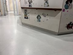 -谐和益家动物医院·免疫绝育·血液透析·宠保定点医院(高新伊藤分院)