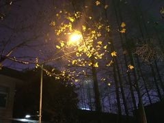 -豆蔻电影主题餐厅(四牌楼店)