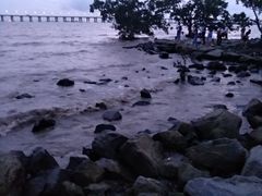 -宝安西湾红树林湿地公园