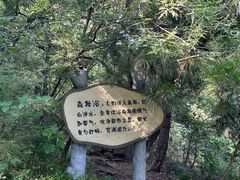 -香山公园