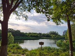 -大兴滨河森林公园