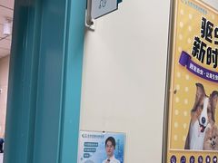 -北京观赏动物医院·24小时大型综合·猫专科·异宠专科