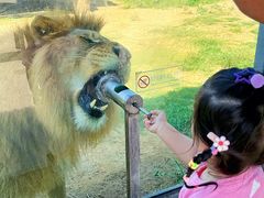 -西霞口神雕山野生动物世界