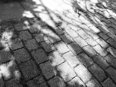 -青岛大学路小学