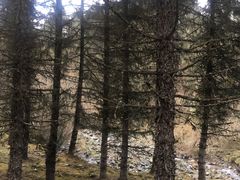 -硗碛藏寨·神木垒景区