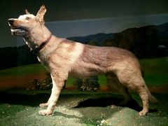 android_upload_pic-上海公安博物馆