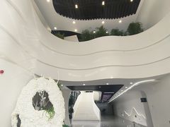 -莫子山公园
