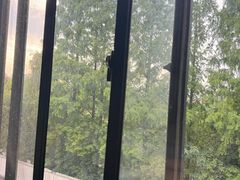 -网鱼电竞酒店(上海闵行七宝古镇店)