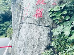 -海南铜鼓岭景区