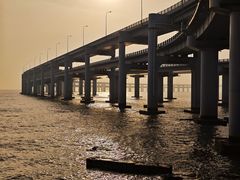 -星海湾跨海大桥