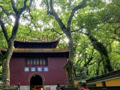 -普陀山风景名胜区-法雨禅寺