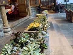 -华冠悠岚·庭院餐厅(青城后山店)