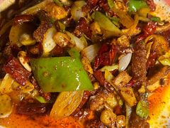 -柴窝堡22号辣子鸡·传承新疆菜