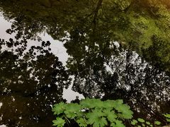 -丹东天桥沟景区