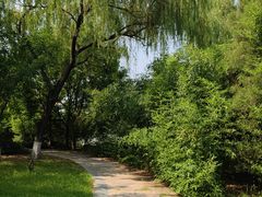 -太阳宫公园