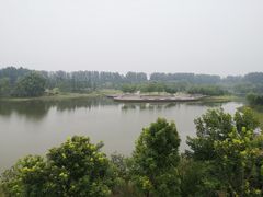 -东郊湿地公园
