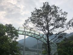 景点-牛鱼嘴原始生态风景区
