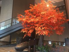 -曼谷大仓新颐酒店