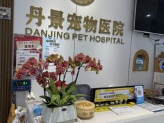 -丹景宠物医院·全科·老年病·牙科(武昌诊疗中心)