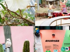 -正佳雨林生态植物园
